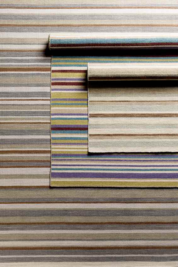 Chuathbaluk Modern Elephant Gray Area Rug