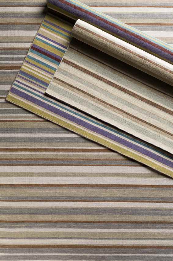 Chuathbaluk Modern Elephant Gray Area Rug