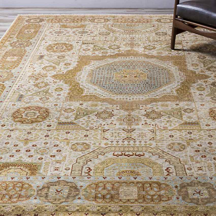 Sidonie Traditional Beige/Camel Area Rug