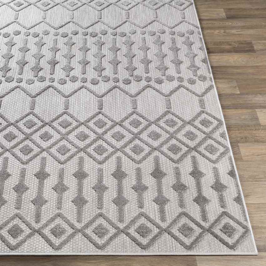 Rupert Global Light Gray Area Rug