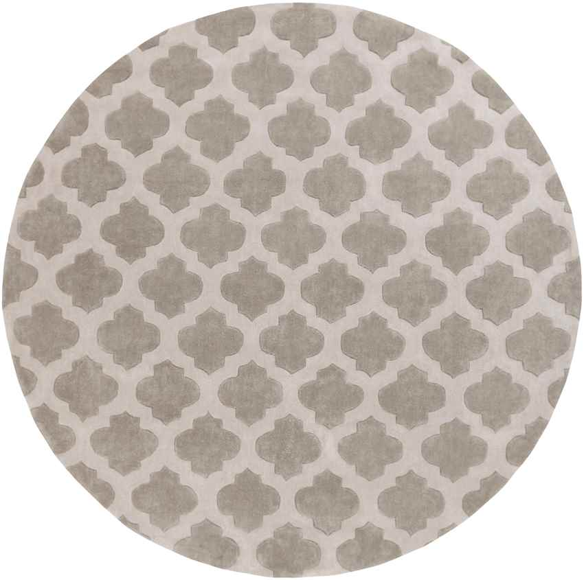 Visvliet Modern Taupe Area Rug