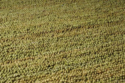 Prato Cottage Olive Green Area Rug