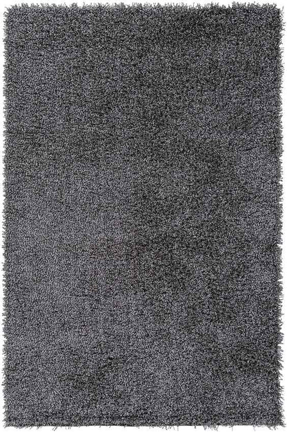 Coolidge Modern Gray Area Rug