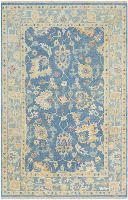 Corinth Traditional Teal/Beige Area Rug