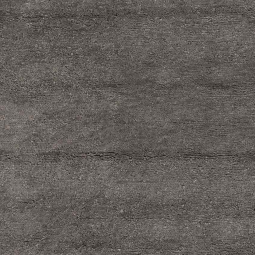 Coweta Modern Charcoal Area Rug