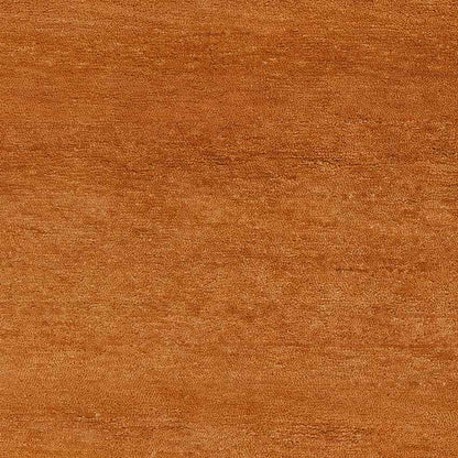 Coweta Modern Burnt Orange Area Rug