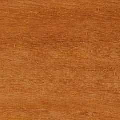 Coweta Modern Burnt Orange Area Rug