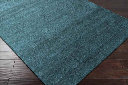 Coweta Modern Teal Area Rug