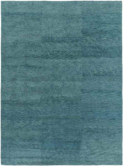 Coweta Modern Teal Area Rug