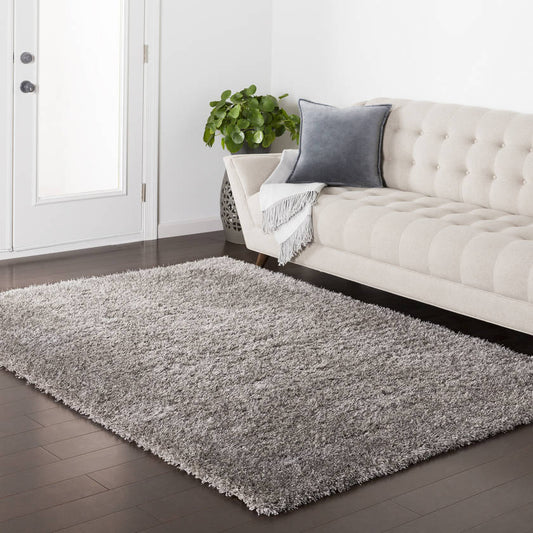 Carrera Modern Slate Area Rug