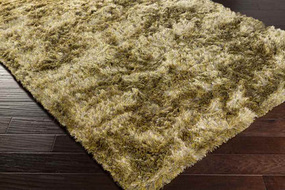 Dagsboro Modern Lime Area Rug
