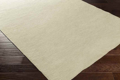 Davis Modern Ivory Area Rug