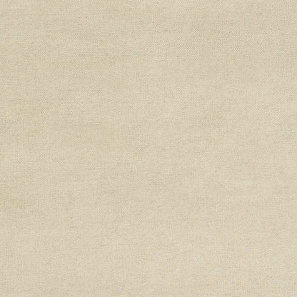 Davis Modern Ivory Area Rug