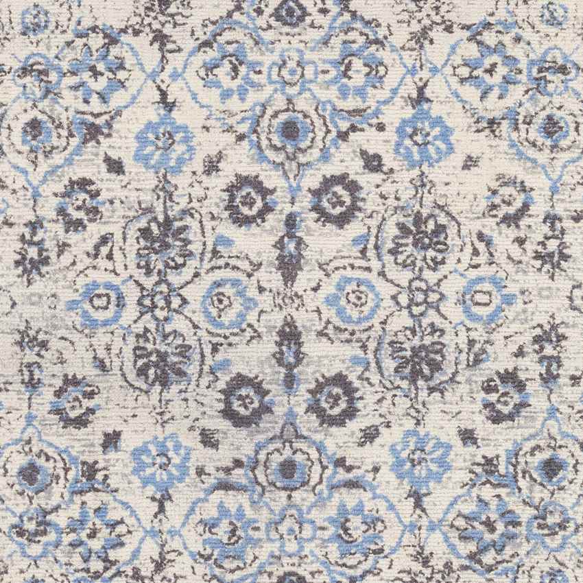 Deepstep Traditional Medium Gray Area Rug