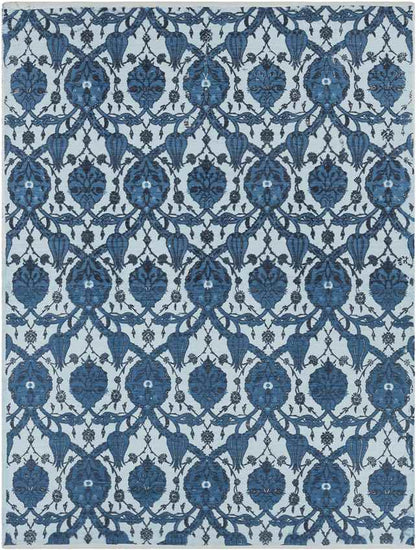 DeWitt Global Blue Area Rug