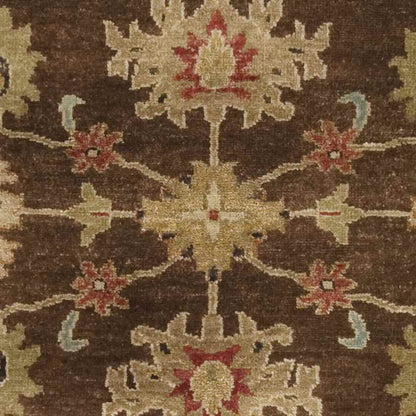 Doraville Traditional Dark Brown Area Rug