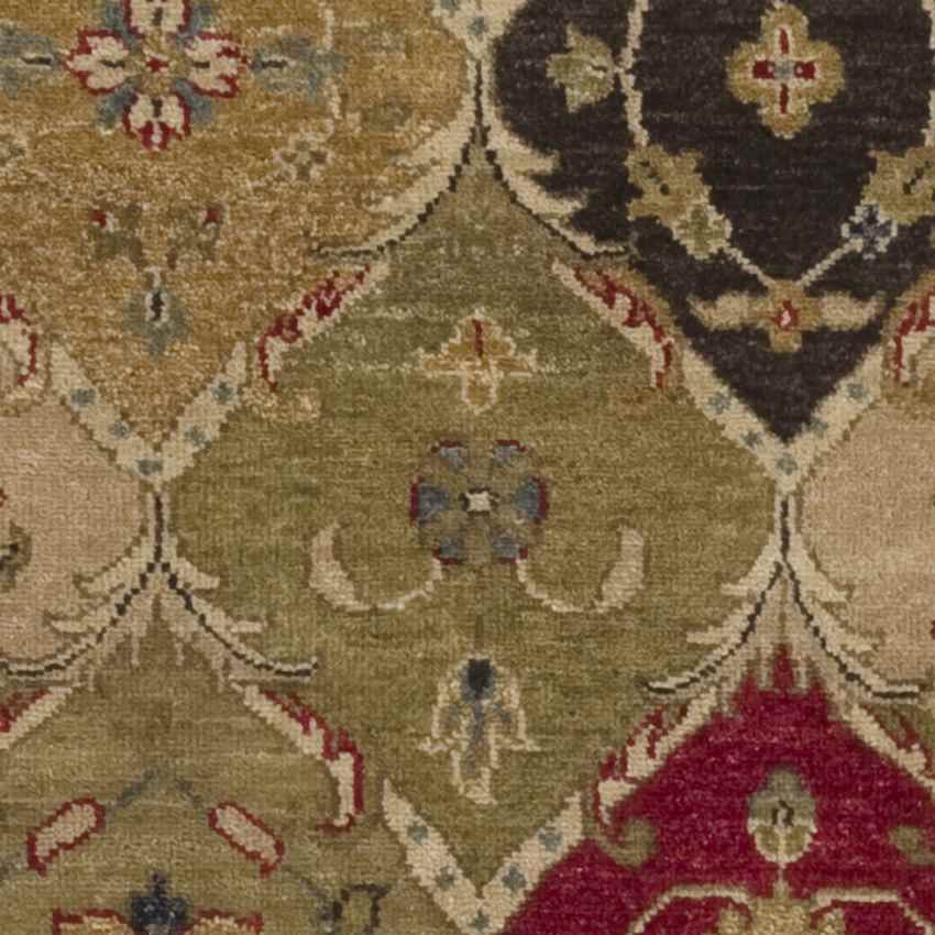 Dothan Traditional Beige Area Rug