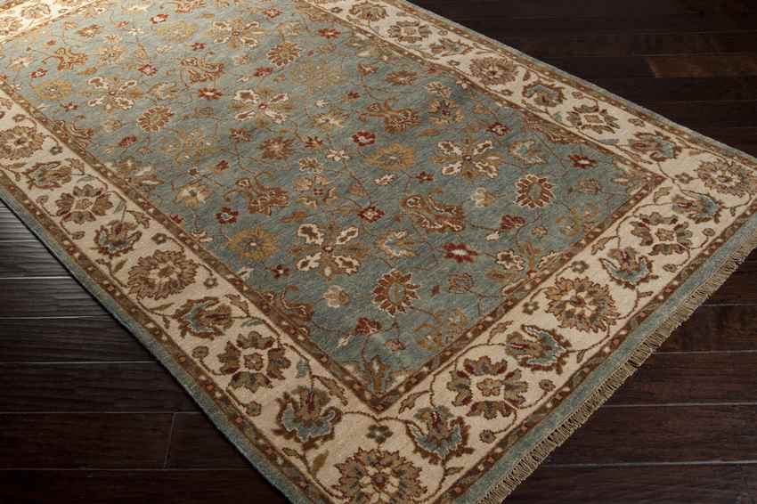 Doublesprings Traditional Blue Area Rug