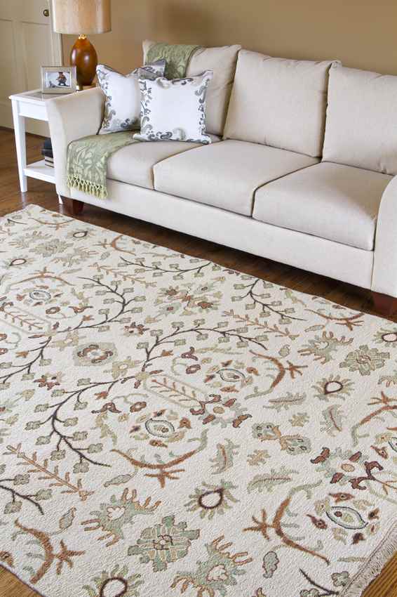 Duncan Traditional Beige Area Rug
