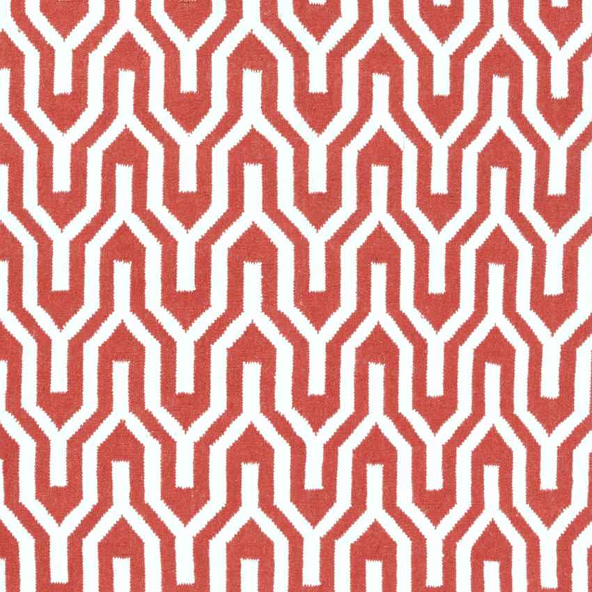 Eagle Modern Strawberry Red Area Rug