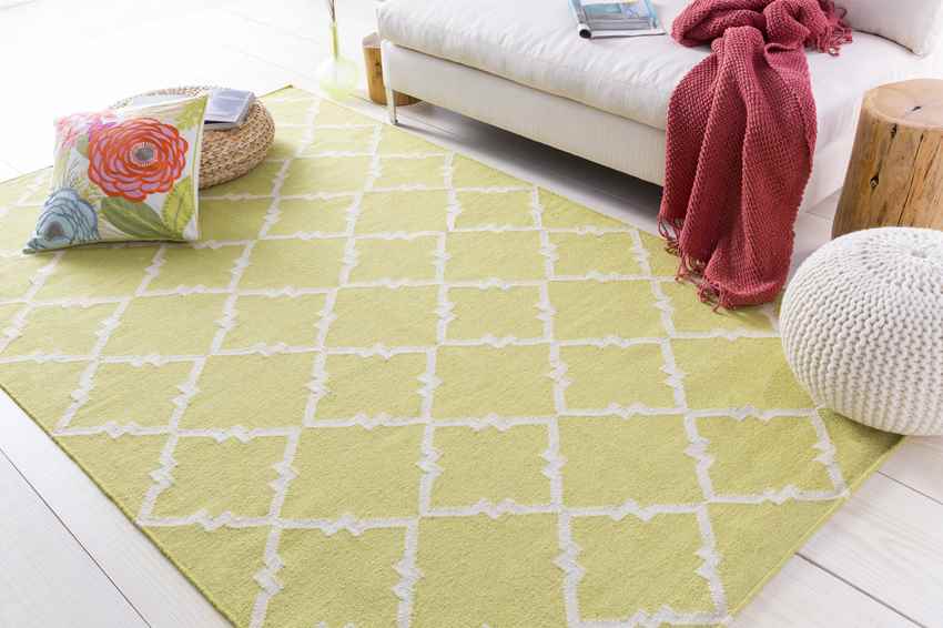 Selwerd Modern Lime/White Area Rug