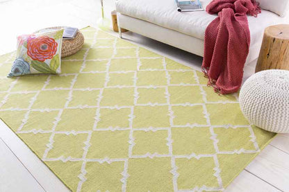 Selwerd Modern Lime/White Area Rug