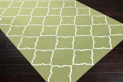 Selwerd Modern Grass Green Area Rug