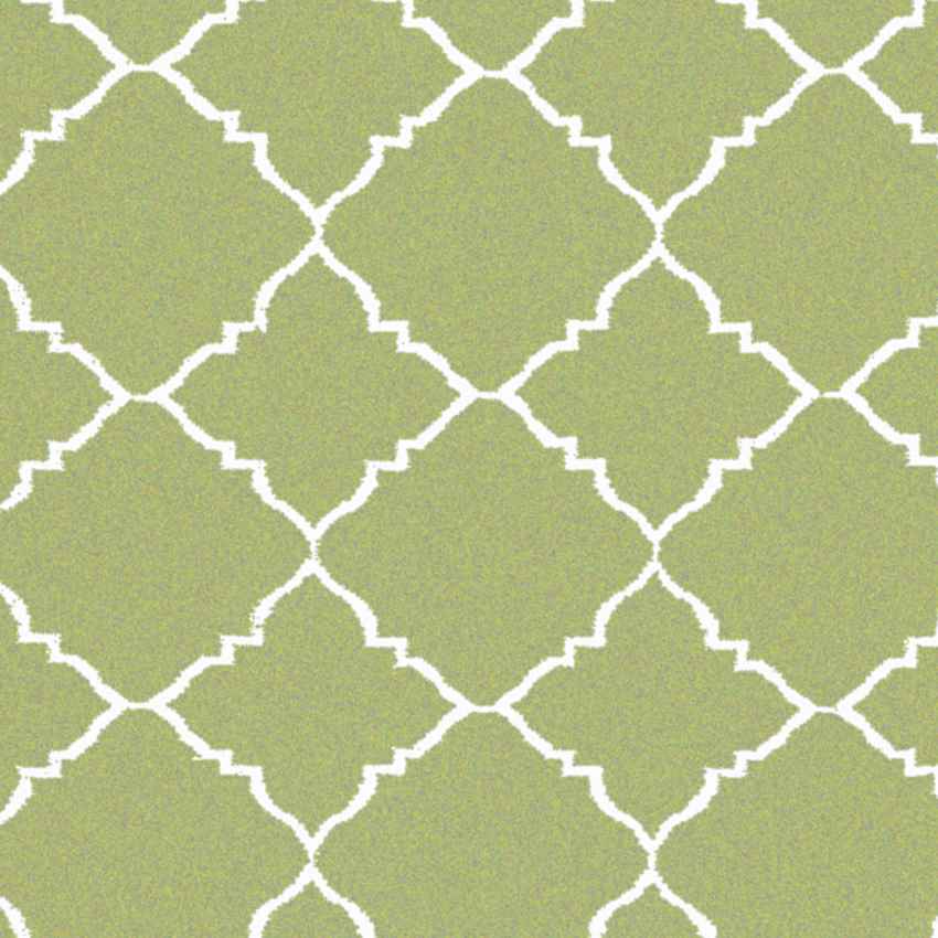 Selwerd Modern Grass Green Area Rug