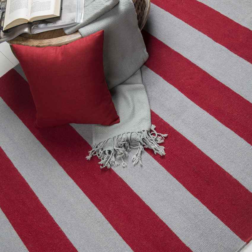 Nathaly Modern Red/Gray Area Rug
