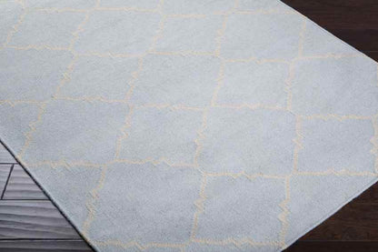 Selwerd Modern Light Blue Area Rug