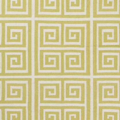 Erie Modern Lime/White Area Rug