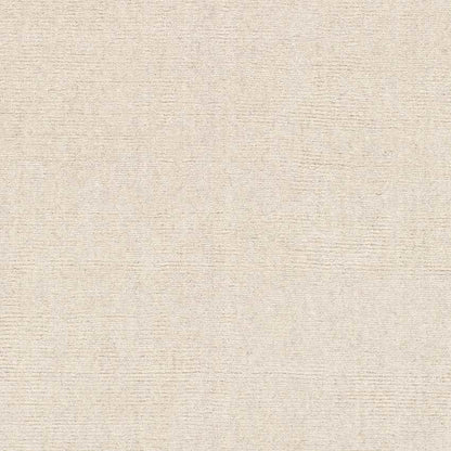 Remy Modern Ivory Area Rug