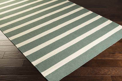 Eva Modern Gray/Beige Area Rug