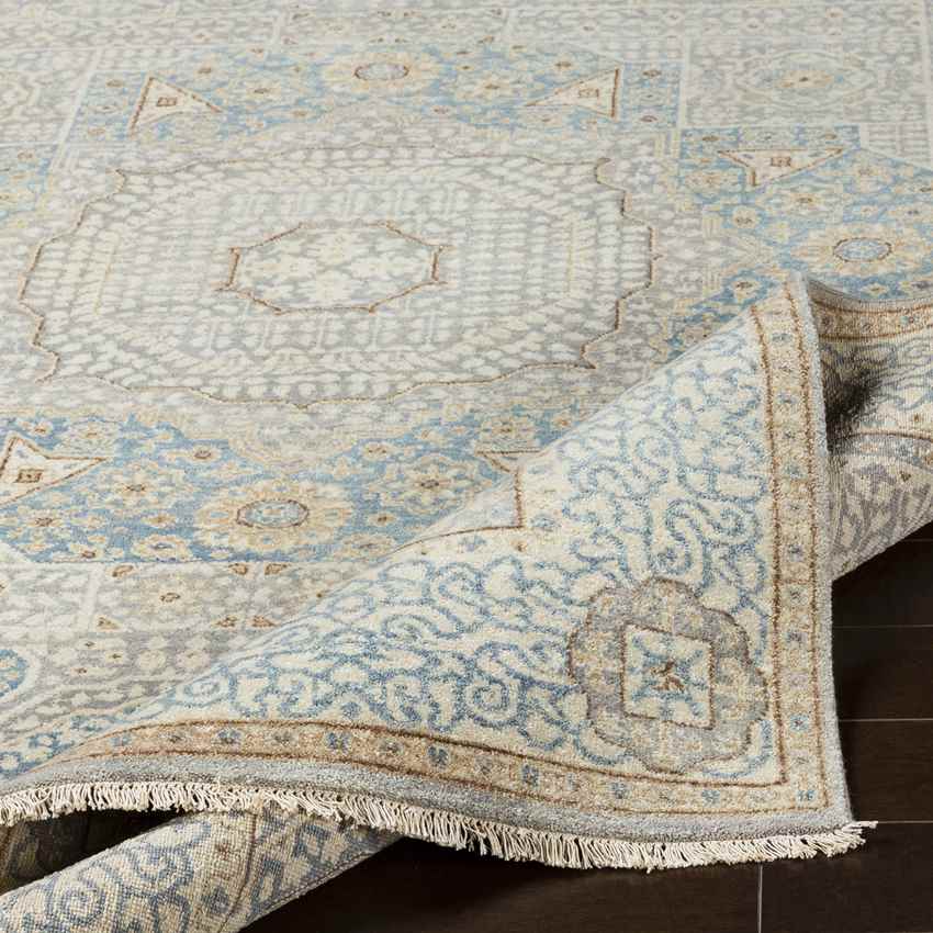Sidonie Traditional Aqua Area Rug
