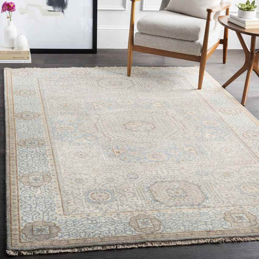 Sidonie Traditional Aqua Area Rug