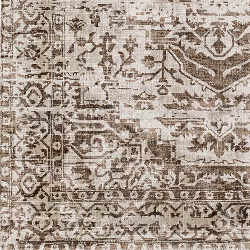 Ferrand Traditional Brown Area Rug