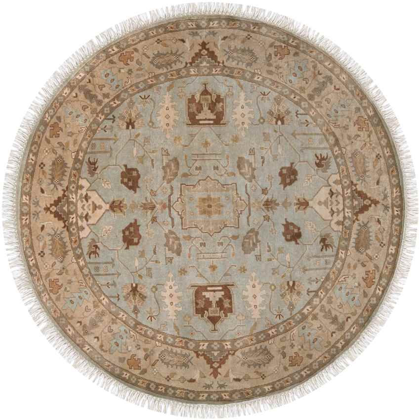 Hindsville Traditional Khaki/Light Gray Area Rug