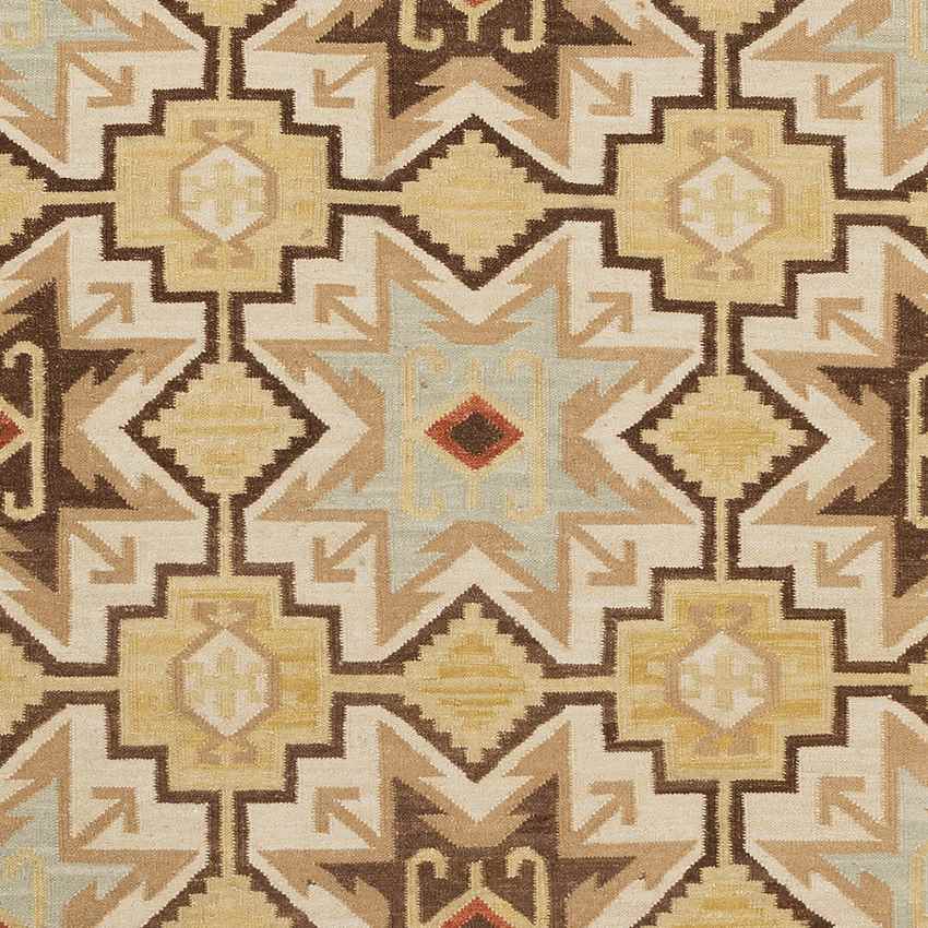 Hudson Global Dark Brown Area Rug