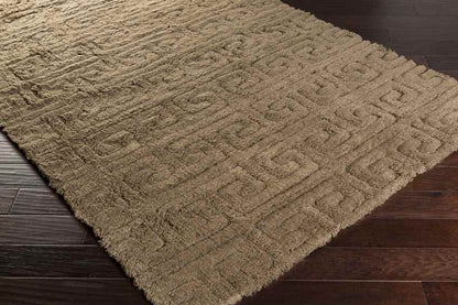 Hurtsboro Modern Dark Brown Area Rug