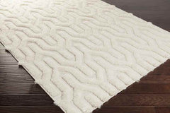 Huslia Modern Ivory Area Rug