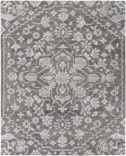 Bedworth Traditional Gray Area Rug