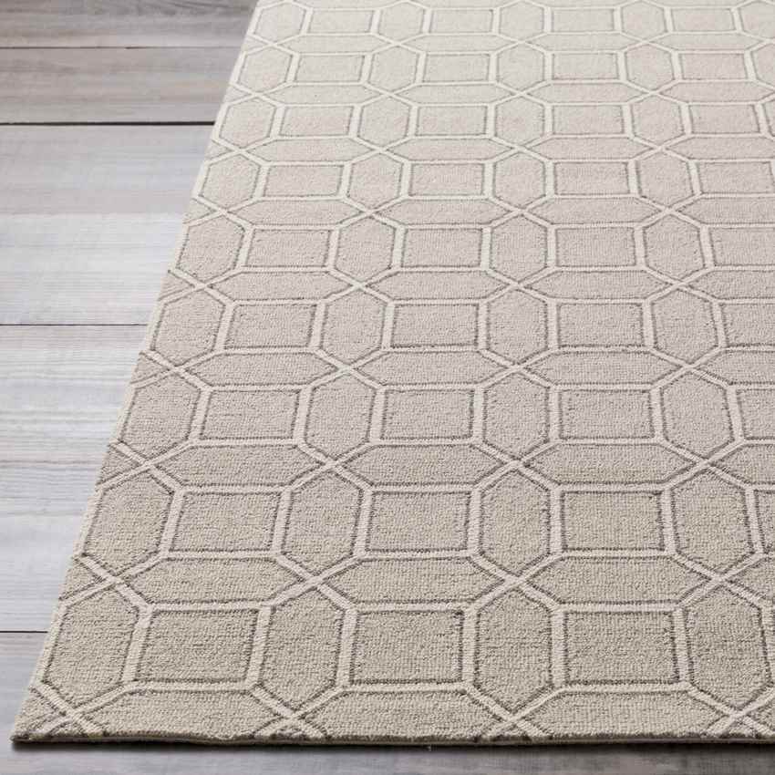 Suttum Modern Beige/Gray Area Rug