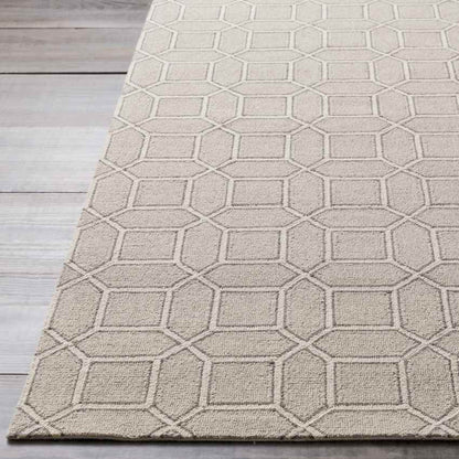 Suttum Modern Beige/Gray Area Rug