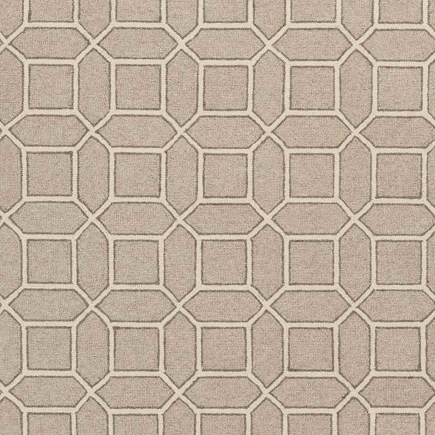 Suttum Modern Beige/Gray Area Rug