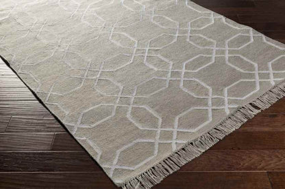 Knoxville Modern Gray Area Rug