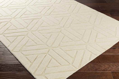 Shippagan Modern Ivory Area Rug