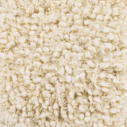 Manassas Modern Ivory Area Rug