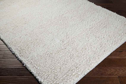Manassas Modern Ivory Area Rug
