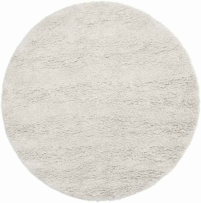 Manassas Modern Ivory Area Rug