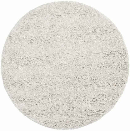 Manassas Modern Ivory Area Rug